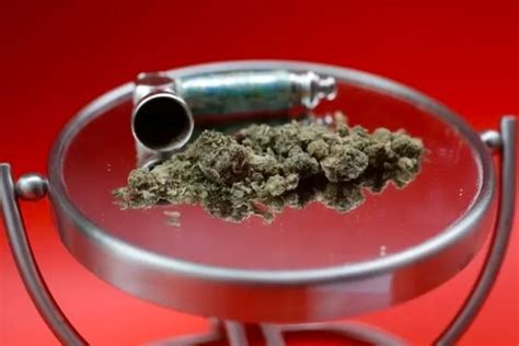 Cannabis, hallucinogen use at ‘historically high levels’: Research.